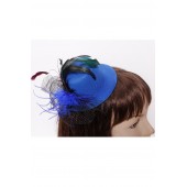 Hair Fascinator Regular (6 pcs in one pack)